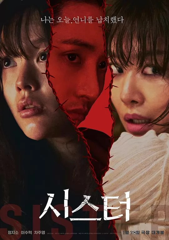 姐妹2026